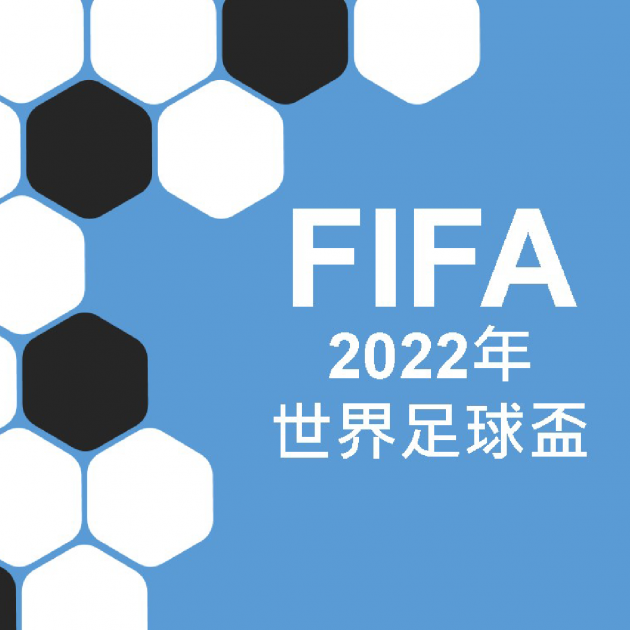 FIFA 2022年世界足球盃